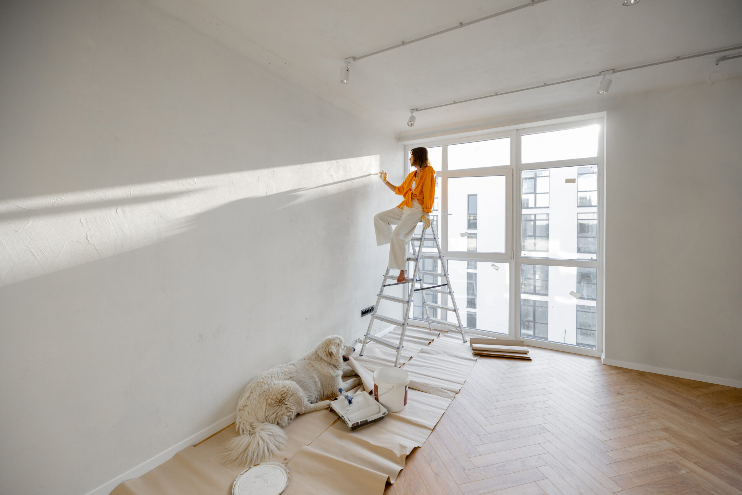 Vacant Flat Painting Services for Fast Tenant Readiness